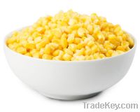 Sell Freeze Dried Sweet Corn