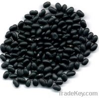 Sell Small Black Kidney Beans