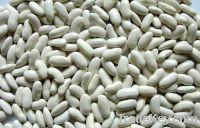 Sell white kidney beans