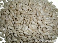 Sell Sunflower Seed Kernel Bakery Grade