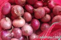 Sell frozen red onion 2012
