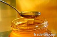 Sell Organic 100% pure honey