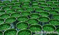 Sell Canned Green Peas Fresh Beans