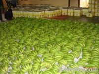 Sell Vietnam fresh cavendish banana HIGH QUALITY