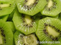Sell new crop fresh kiwi fruit