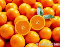 Sell mandarin orange all kinds of fruits supplier