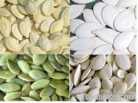 Sell shine skin pumpkin kernels, pumpkin seeds