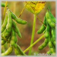 Sell Soybean Oil