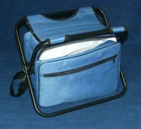 Picnic Bag/Cooler Bag/Ice Bag