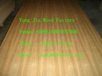 Natural Teak Veneer Fancy Plywood