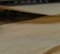 High Quality Okoume/bintangor/keruing/sapeli/radiate Pine engineered wood door veneer