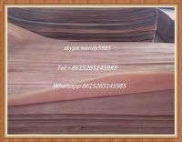 B grade rotary cut 0.3mm gurjan/keruing veneer