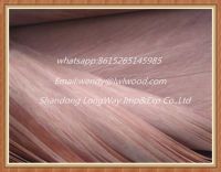 Natural gurjan Veneer 0.3mm from Burma