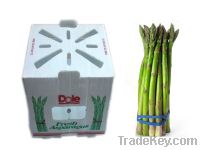 corrugated plastic box for asparagus