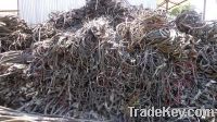 Sell of PVC Scrap (Cover/Insulation of Electrical Cable & Wire)