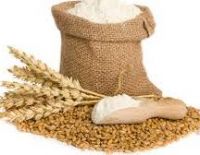 Wheat Flour, High Gluten, Low Gluten