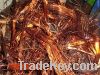 Copper Wire Scraps Suppliers | Copper Scrap Exporters | Copper Scrap Manufacturers | Cheap Copper Scrap | Wholesale Copper Scraps | Discounted Copper Scrap | Bulk Copper Scraps | Copper Scrap Buyer | Import Copper Scrap | Copper Scrap Importers | Copper S