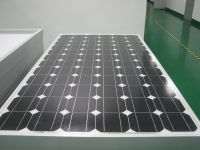 155W solar panels