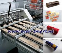 Automatic Counting System For Biscuit On-Edge Packing