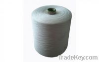 Sell Polyester Linen Yarn