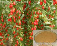 Sell Wolfberry Extract/Barbary Wolfberry Fruit P.E
