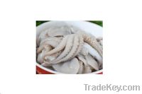 Sell OCTOPUS-HIGH QUALITY FROM VIETNAM