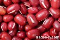 Sell Red Kidney Beans