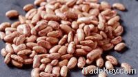 Sell Pinto Beans