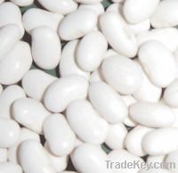 Sell  white beans, red beans, black beans , onion and  and others