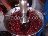 Sell Brazilian Organic Acai