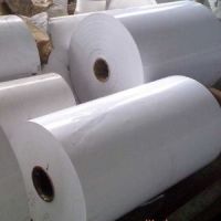 coated paper , PE coated paper for cup, C2S art paper glossy&matte/coated paper glossy&matte