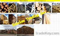 Sell Timbers & Boards