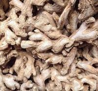 DRY SPLIT GINGER