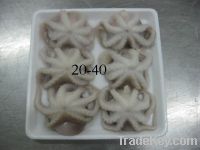 Sell BABY OCTOPUS