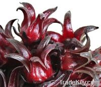 Sell Roselle Flowers