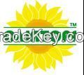 We sell Crude sunflower oil up to 3000 tons per month