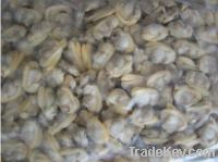 Frozen Boiled Short Necked Clam meat baby clam meat  in Vacuum Packing