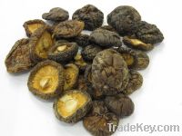Sell shiitake mushroom