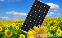 Sell Buy Solar Panel / Manufacturer of Solar Panel