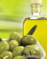 Sell Refined Canola Oil