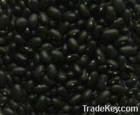 black beans, Purple round beans, white kidney beans