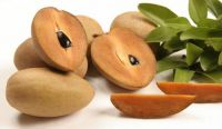 Looking for Buyer and/or Distributor for Sapodilla (Chikoo) in China