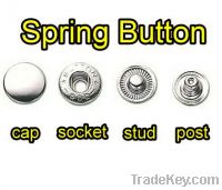 spring snap button