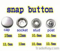 snap button