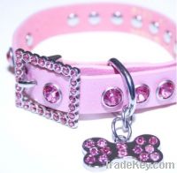 Dog Collars & Dog Clothes