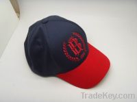 Sell special snapback hats with embroidered logo