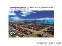 Sell Reliable Sea Freight Forwarding Services to Africa  A&O