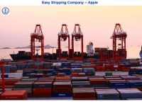 Sell The Lowest Shipping Freight In Local China