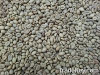 Export Coffee Beans | Arabica Coffee Beans Suppliers | Robusta Coffee Beans Exporters | Coffee Bean Traders | Wholesale Coffee Beans | Buy Coffee Beans | Bulk Coffee Bean | Green Coffee Bean Buyer | Low Price Roasted Coffee Bean | Import Coffee Bean | Cof