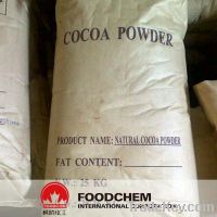 Sell Food Grade Cocoa Powder